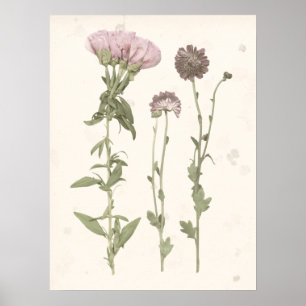 Geperste bloemen - Roze Poster