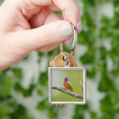 Gepilde Bunting Passerina ciris) zingend man Sleutelhanger (Hand)