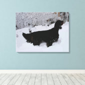 Gepilde Gordon Setter in Snowstorm Wrapped Canvas (Insitu (Houten vloer))