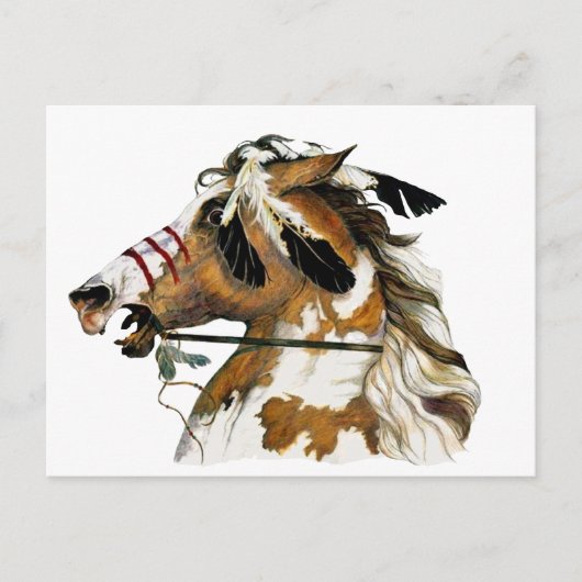 Gepilde Pony Briefkaart (Voorkant)