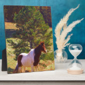 Gepilde Pony door de pine Fotoplaat (Zijkant)