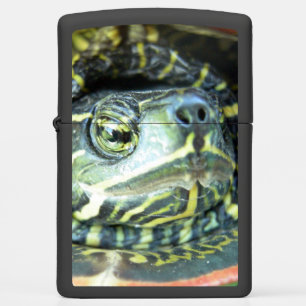 Gepilde schildpad (Chrysemys picta) 2