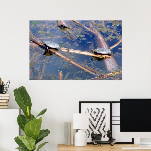 Gepilde schildpadden (schildpadden) poster (Thuiskantoor)