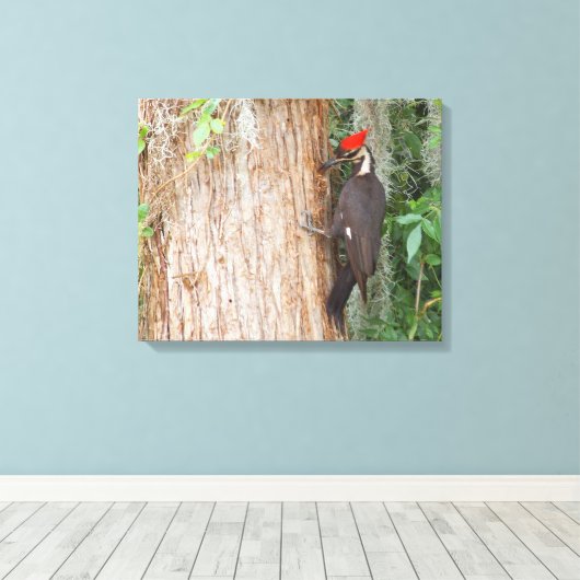 Gepileerde specht op doek canvas afdruk (Insitu (Houten vloer))