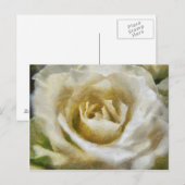Gepiliseerd Briefkaart van witte rozen (Voorkant / Achterkant)
