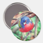 Gepilleerde bundelmagneet magneet (Voorkant / Achterkant)