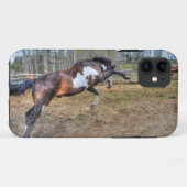 Gepironeerde Pinto Stallion Equine Action Foto Case-Mate iPhone Case (Achterkant (horizontaal))