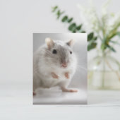 GEPLAATST OM U TE ontmoeten Briefkaart (Staand voorkant)