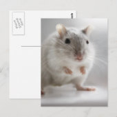 GEPLAATST OM U TE ontmoeten Briefkaart (Voorkant / Achterkant)