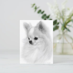 Geposte Chihuahua Hand geschilderd portret Briefkaart