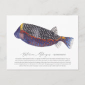 Gepotten Boxfish Feestdagenkaart (Voorkant)