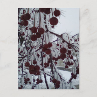 Gepulueerde bessen feestdagenkaart