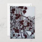 Gepulueerde bessen feestdagenkaart (Voorkant / Achterkant)