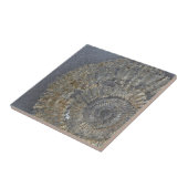 gepyritiseerde ammoniet tegeltje (Zijkant)