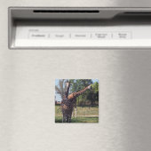 Geraffineerde Giraffes magneet (Insitu (Vaatwasser))