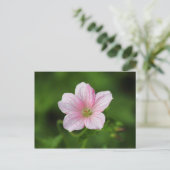Geranium Briefkaart (Staand voorkant)