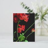 Geranium Briefkaart (Staand voorkant)