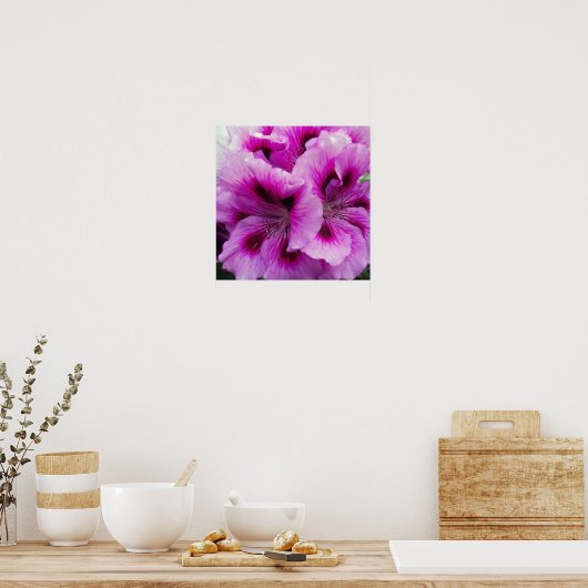 Geranium Care Poster (Keuken)