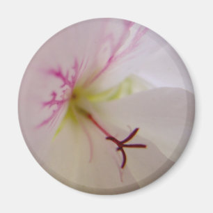 Geranium Center Magnet Magneet