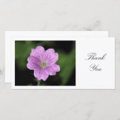 Geranium Endressii - Merci (Devant / Derrière)