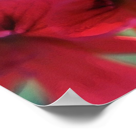 Geranium, geslepen poster (Hoek)