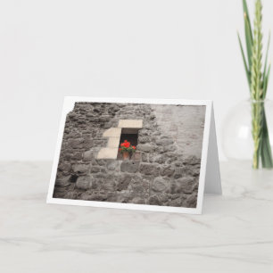 Geranium in Venster Kaart