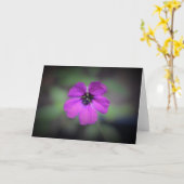 Geranium, kaart (Gele Bloem)
