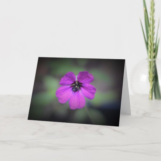 Geranium, kaart (Voorkant)