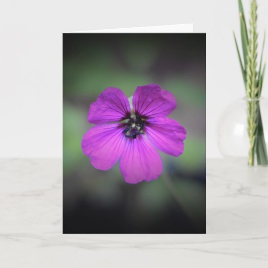 Geranium, kaart (Voorkant)