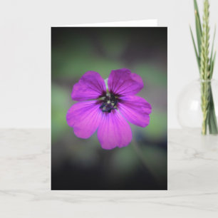 Geranium, kaart