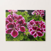 Geranium Legpuzzel (Horizontaal)