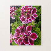 Geranium Legpuzzel (Verticaal)