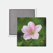 Geranium Magneet (Voorkant / Achterkant)