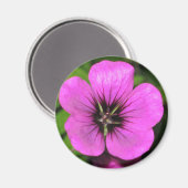 Geranium Magnet Magneet (Voorkant / Achterkant)