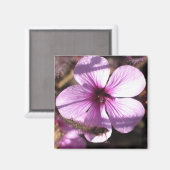 Geranium Magnet Magneet (Voorkant / Achterkant)