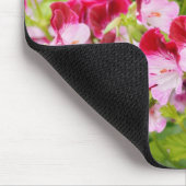 geranium muismat (Hoek)