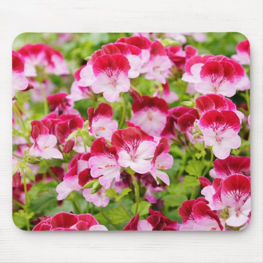geranium muismat (Voorkant)
