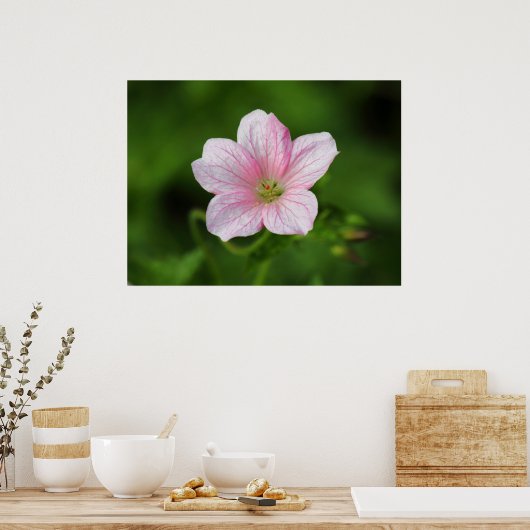 Geranium Poster (Keuken)