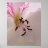 Geranium Print (Voorkant)