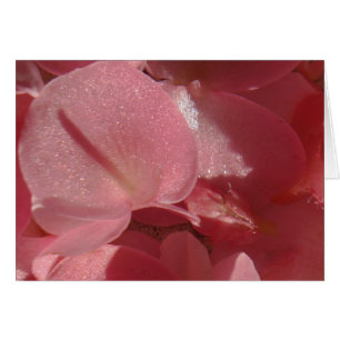 Géranium rose : presque solide Rose clair