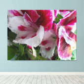 Geranium Stretched Canvas Print (Insitu (Houten vloer))