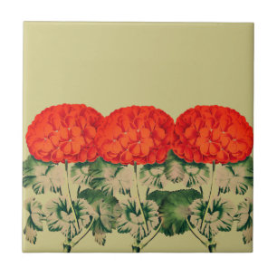 Geranium Trio - vettige floraal Tegeltje