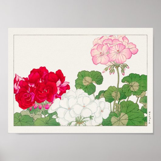Geranium van Tanigami Konan Poster (Voorkant)