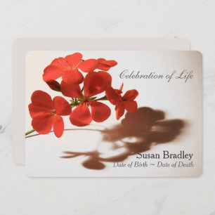 Geranium Viering van het Leven Uitvaart Aankondigi Kaart