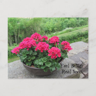 Geranium - Voel je snel beter Briefkaart