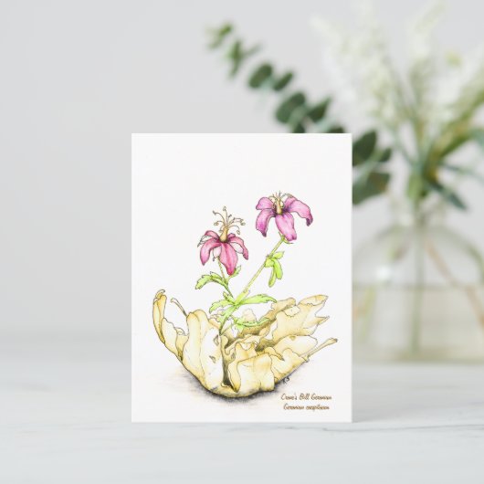 Geranium wildflower watercolor briefkaart (Staand voorkant)