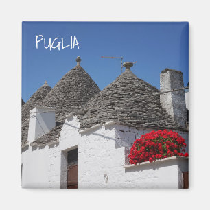 Geraniumbloemen en driehoekshuizen in Alberobello Magneet