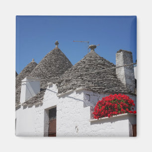 Geraniumbloemen en driehoekshuizen in Alberobello Magneet