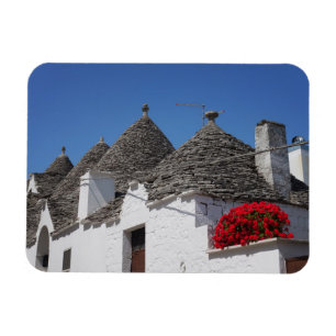Geraniumbloemen en driehoekshuizen in Alberobello Magneet