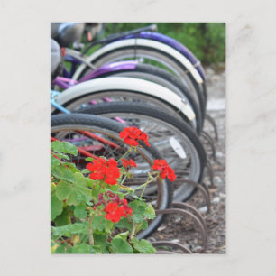 Geraniums en fietsen briefkaart